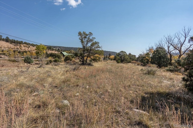 17380 Willow Tree Dr, Salida, CO 81201 - photo 23
