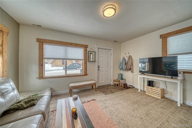 carpeted living room with a wealth of natural light and a textured ceiling