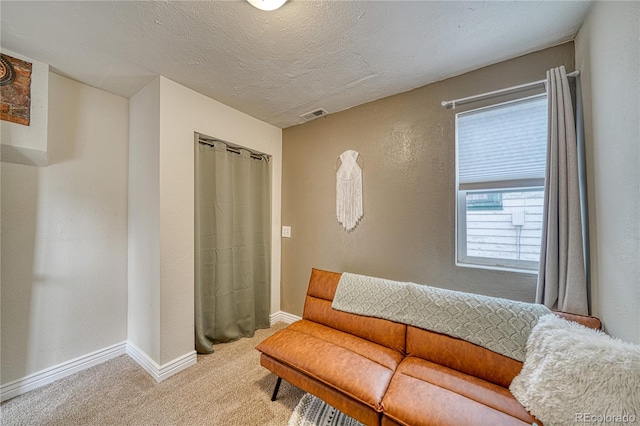 interior space featuring light carpet and a textured ceiling