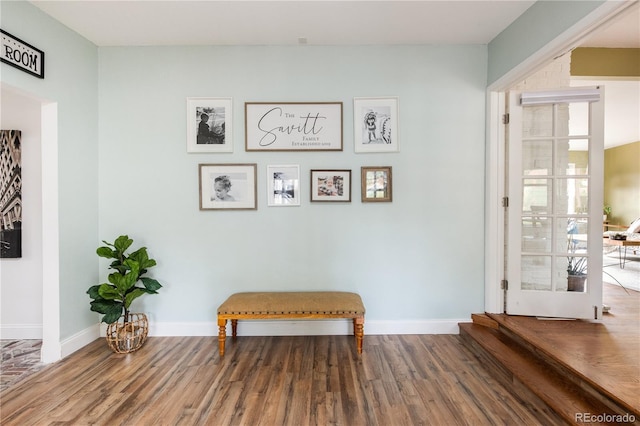 sitting room featuring hardwood / wood-style floors