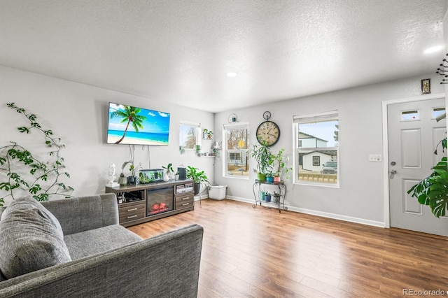 living room with wood-type flooring and a textured ceiling