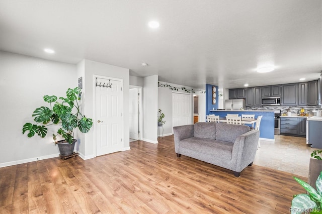 living room with light hardwood / wood-style flooring