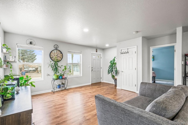 living room featuring a textured ceiling and hardwood / wood-style flooring