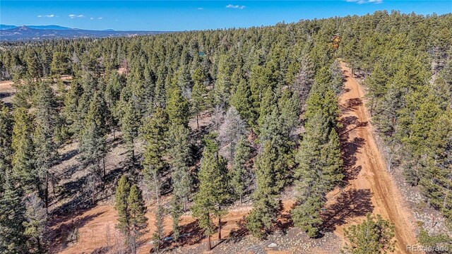 81 Garnet Way, Florissant, CO 80816