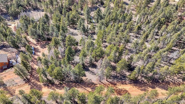 81 Garnet Way, Florissant, CO 80816