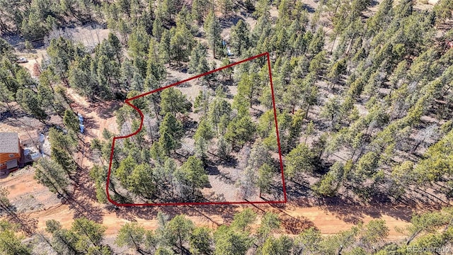 81 Garnet Way, Florissant, CO 80816