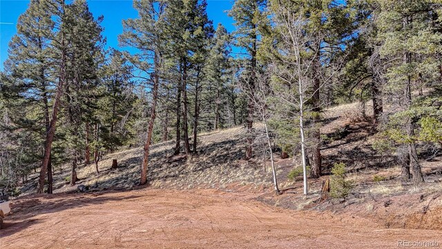 81 Garnet Way, Florissant, CO 80816