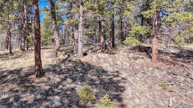 81 Garnet Way, Florissant, CO 80816