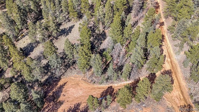 81 Garnet Way, Florissant, CO 80816