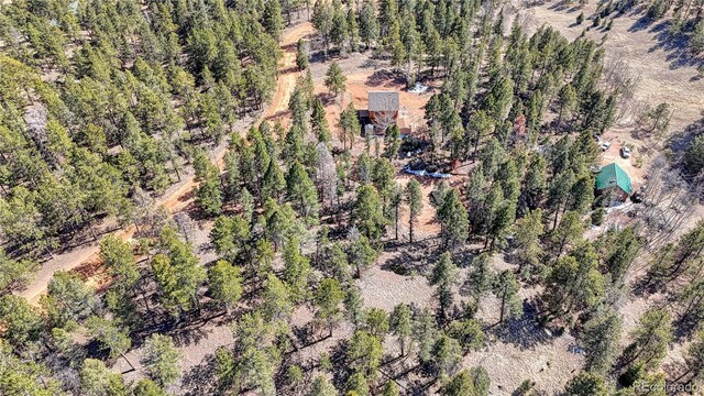 81 Garnet Way, Florissant, CO 80816