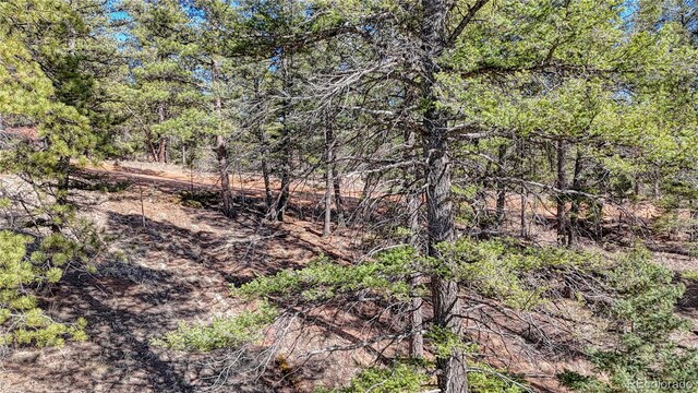 81 Garnet Way, Florissant, CO 80816