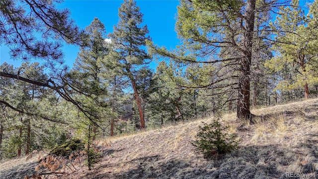 81 Garnet Way, Florissant, CO 80816