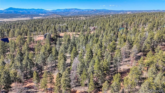 81 Garnet Way, Florissant, CO 80816