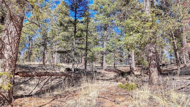 81 Garnet Way, Florissant, CO 80816