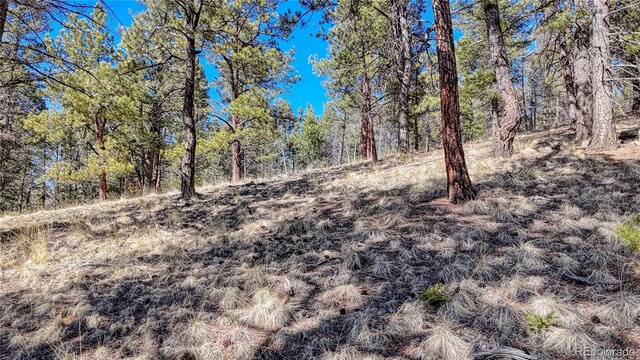 81 Garnet Way, Florissant, CO 80816