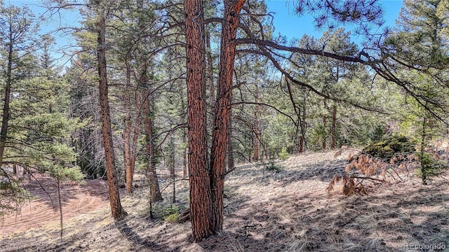 81 Garnet Way, Florissant, CO 80816