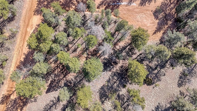 81 Garnet Way, Florissant, CO 80816