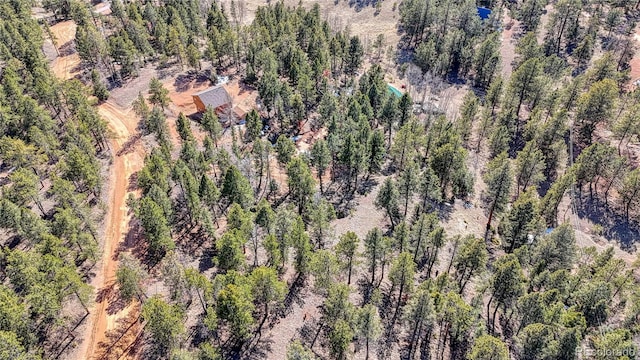 81 Garnet Way, Florissant, CO 80816