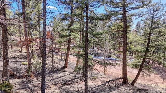 81 Garnet Way, Florissant, CO 80816