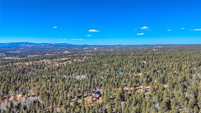 81 Garnet Way, Florissant, CO 80816