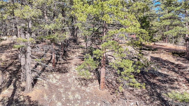 81 Garnet Way, Florissant, CO 80816