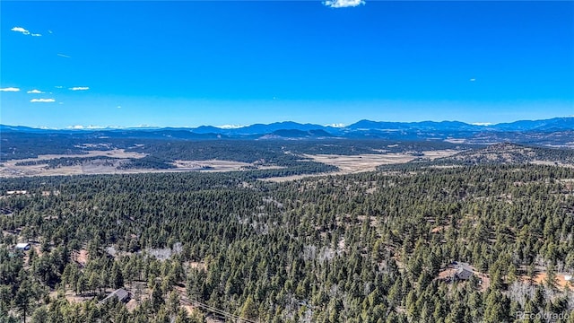 81 Garnet Way, Florissant, CO 80816