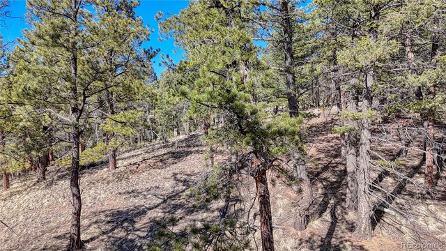 81 Garnet Way, Florissant, CO 80816