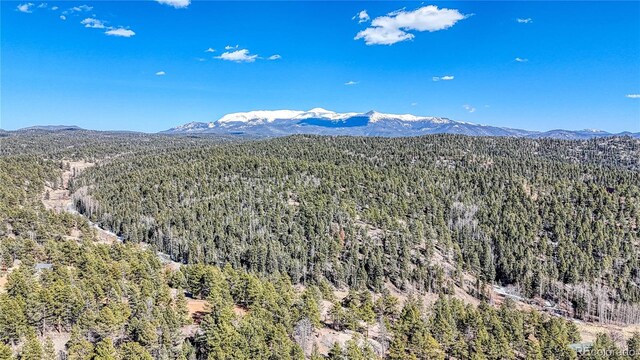 81 Garnet Way, Florissant, CO 80816