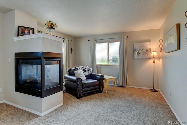 1995 E 166th Ave, Thornton, CO 80602 - carpeted living area featuring a multi sided fireplace and baseboards