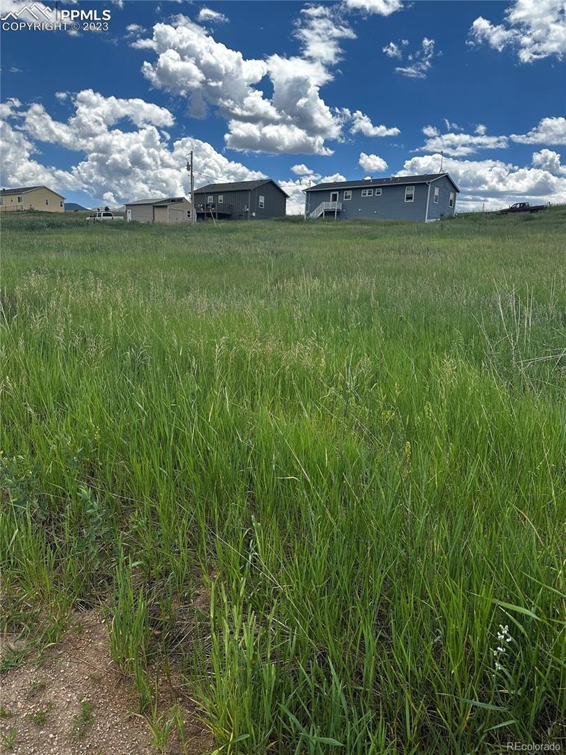 1298 Will Scarlet Dr, Divide, CO 80814 - photo 1