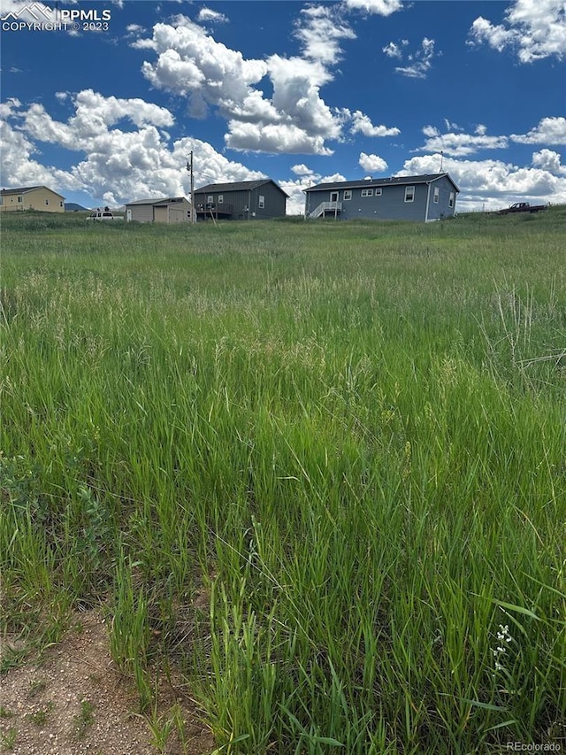 1298 Will Scarlet Dr, Divide, CO 80814 - photo 1