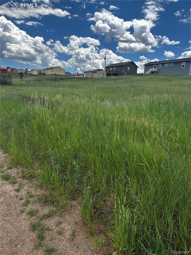 1298 Will Scarlet Dr, Divide, CO 80814 - photo 2