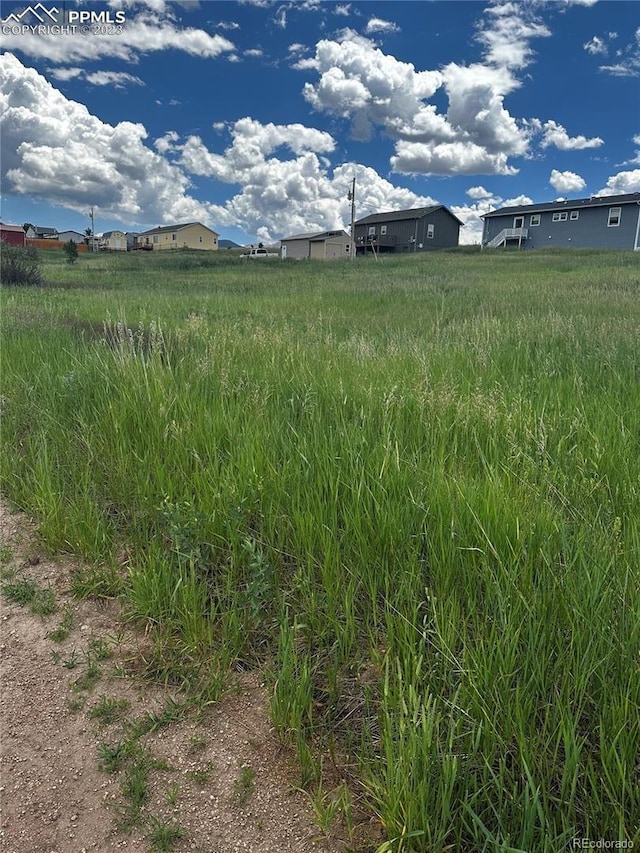 1298 Will Scarlet Dr, Divide, CO 80814 - photo 2