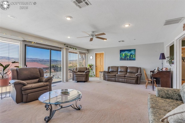 3082 High St, Canon City, CO 81212 - photo 13