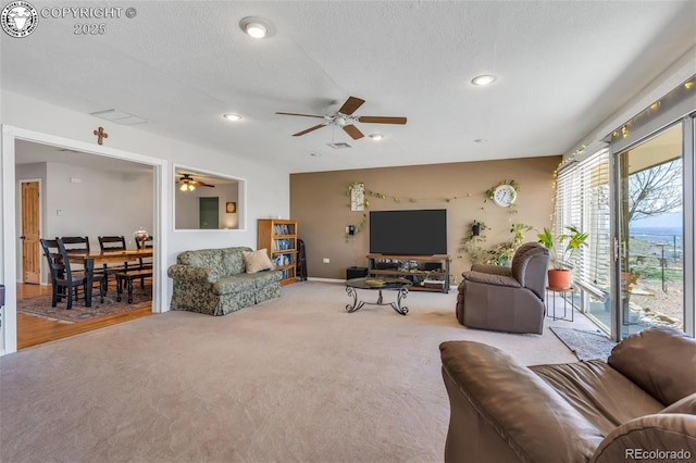3082 High St, Canon City, CO 81212 - photo 14