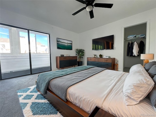 bedroom featuring carpet floors, a spacious closet, access to outside, ceiling fan, and a closet