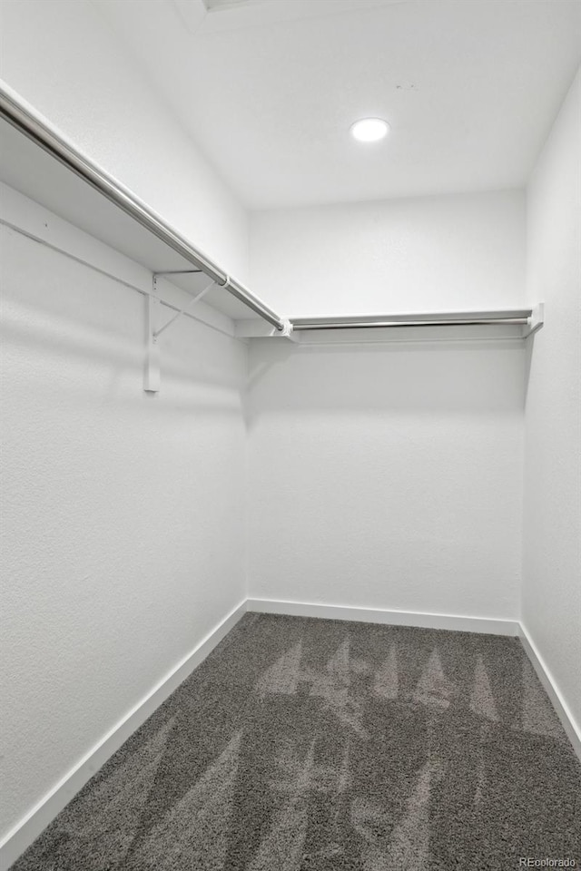 spacious closet featuring carpet flooring