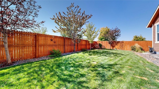 view of yard featuring a fenced backyard