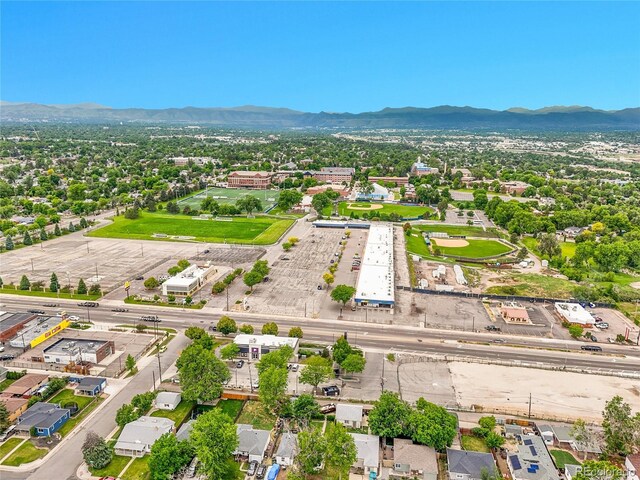 5152 Bryant St, Denver, CO 80221 - photo 31