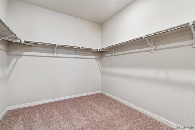 1397 Brookfield Pl, Erie, CO 80026 - spacious closet featuring carpet floors