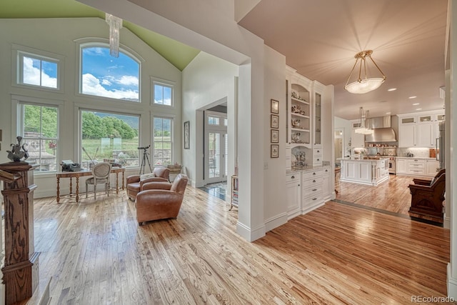 16202 County Road 327, Buena Vista, CO 81211 - living room featuring light wood-style floors and high vaulted ceiling