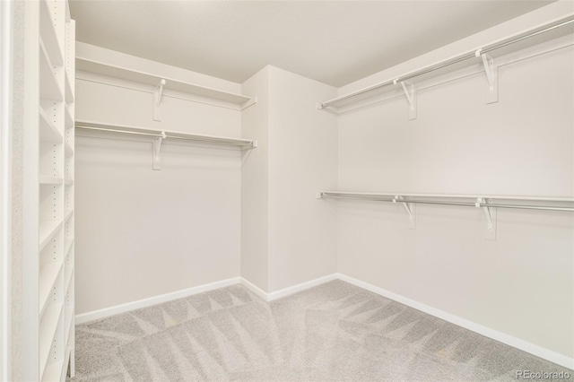 spacious closet featuring carpet floors