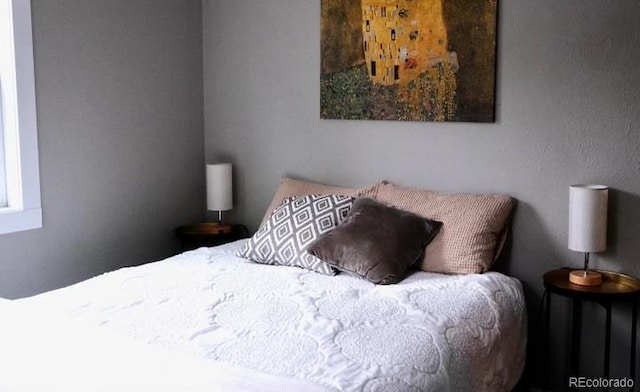 9092 Gray Ln, Conifer, CO 80433 - view of bedroom