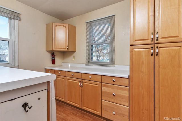 kitchen with light countertops, light brown cabinetry, and light wood-style flooring