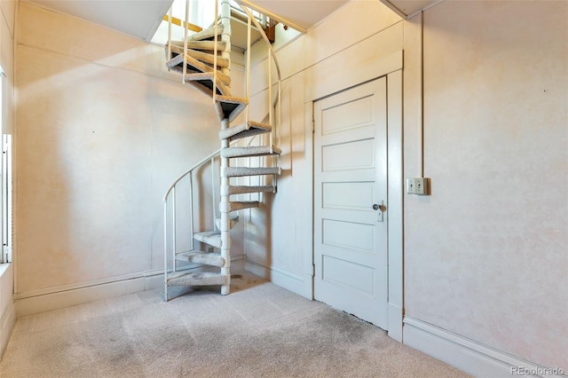 stairway with carpet flooring