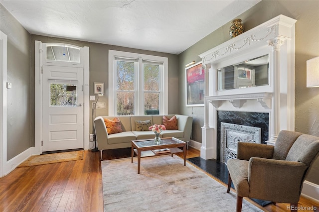 34 W Maple Ave, Denver, CO 80223 - living room featuring hardwood / wood-style flooring and a premium fireplace