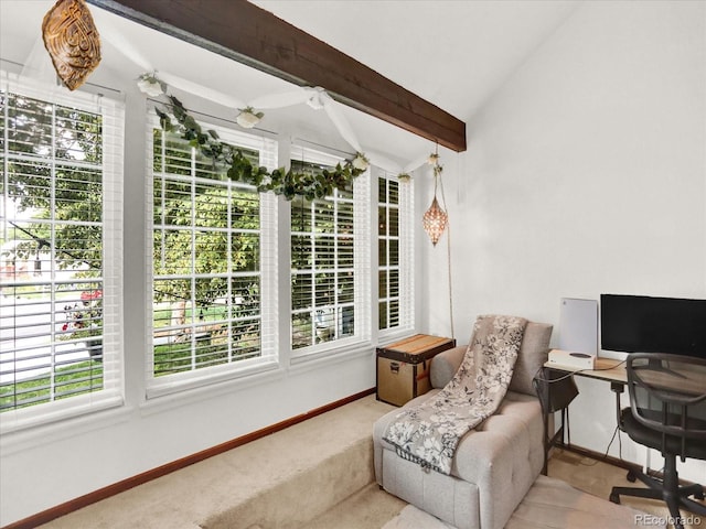 3596 S Telluride Way, Aurora, CO 80013 - office area featuring healthy amount of natural light and carpet floors