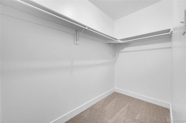1344 Sable Blvd, Aurora, CO 80011 - walk in closet with carpet flooring