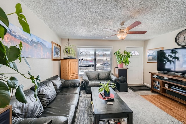 carpeted living room with ceiling fan and a textured ceiling