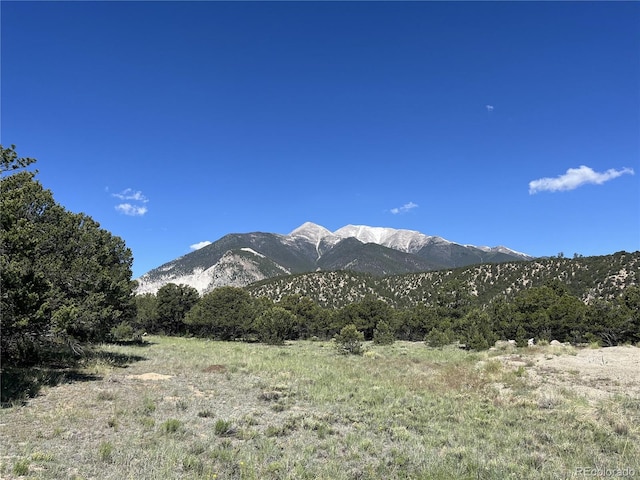 14973 Chalk Creek Dr, Nathrop CO, 81236 land for sale